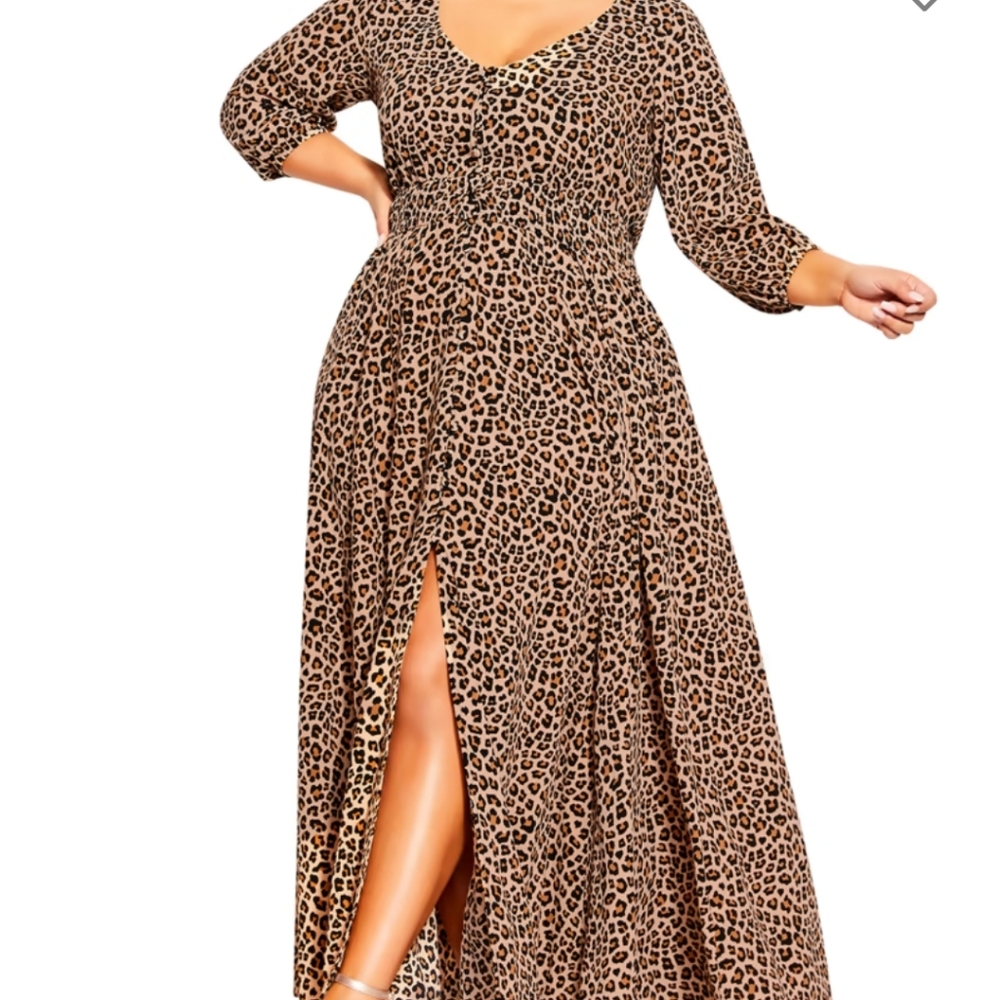 Cheetah print Maxi Dress